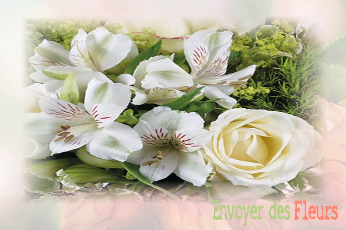 envoyer des fleurs à à SAINT-ROMAIN-DE-LERPS